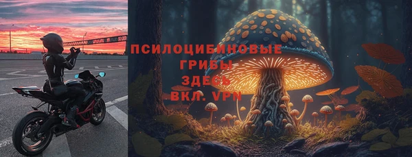 spice Пересвет