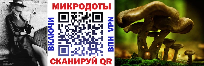 omg tor  Шелехов  Галлюциногенные грибы GOLDEN TEACHER 
